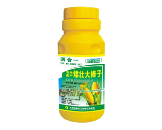 玉米高产矮壮大棒子_调节剂