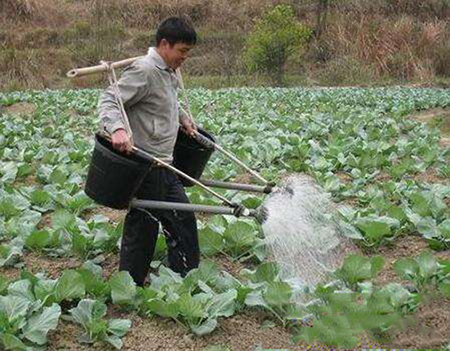 <b>水溶肥的正确使用方法</b>
