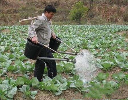 <b>水溶肥的正确使用方法</b>