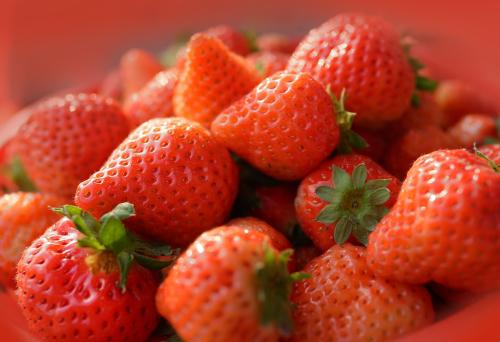 <b>草莓烂果、果不红就用北美农大草莓专用肥料</b>