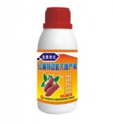 红薯特效膨大增产素_调节剂