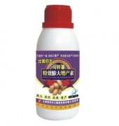 马铃薯特效膨大增产素_调节剂