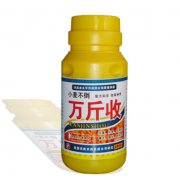【万斤收】 小麦叶面肥调节剂
