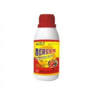西红柿控旺剂