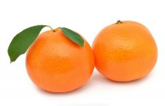 柑橘使用北美农大水溶肥的