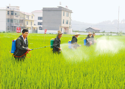 水溶肥_叶面肥_冲施肥