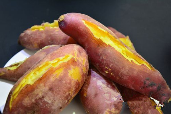 种植高产红薯的方法