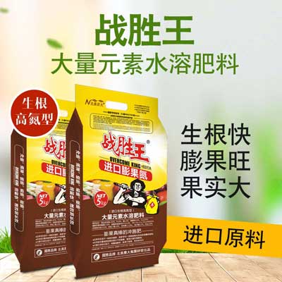 茄子用什么冲施肥好？什么时候使用？