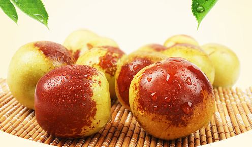 冬枣园的肥水管理技术