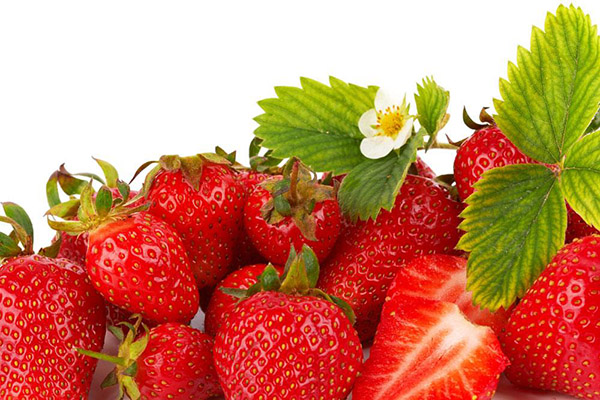 草莓上色快，不烂果的方法