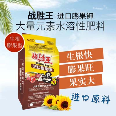 大棚蔬菜应该如何施肥？施什么肥好？